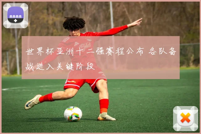 世界杯亚洲十二强赛程公布 各队备战进入关键阶段